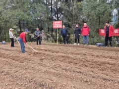 广元市苍溪县歧坪供销社多措并举做实为农服务工作