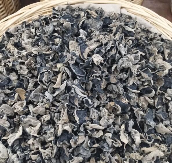 东北干木耳1.5cm黑龙江秋木耳长白山小木耳干货云耳批发包邮