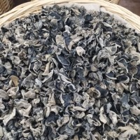 东北干木耳1.5cm黑龙江秋木耳长白山小木耳干货云耳批发包邮