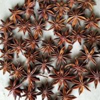 广西玉林发货秋天大红八角足干无硫过筛另卖春花八角干枝八角