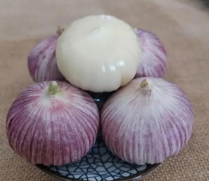 独头蒜 热销云南紫皮红皮独头蒜2023年新货一手货源