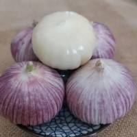 独头蒜 热销云南紫皮红皮独头蒜2023年新货一手货源
